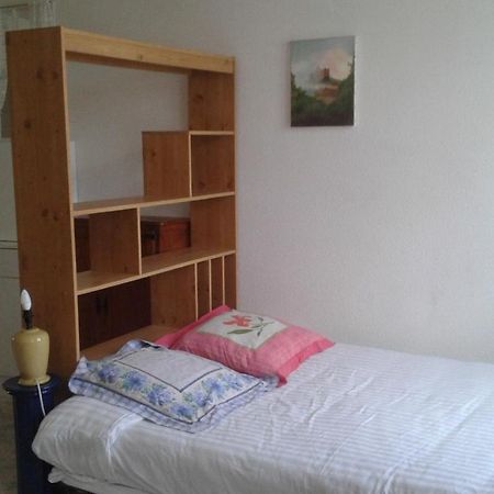 Le Sultan Du Theron 3Em Etage Apartment Le Puy-en-Velay Exterior foto